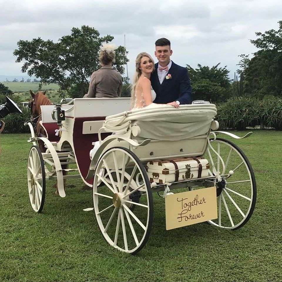 horse carridge wedding