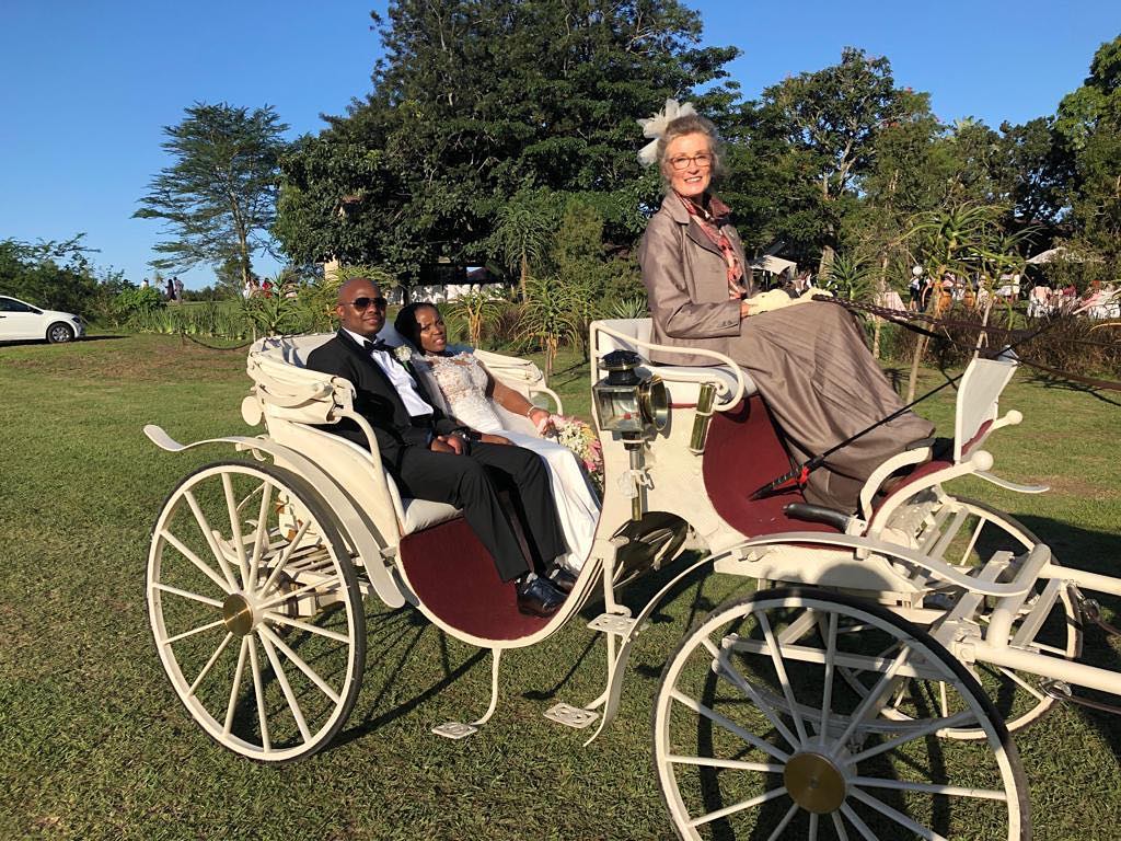 wedding horse