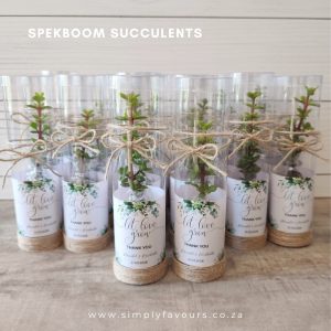 653707786_1428646015942393_5142547322759735746_n