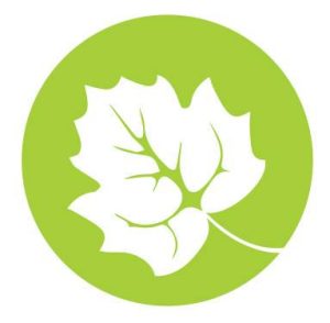 Food D-Vine Catering