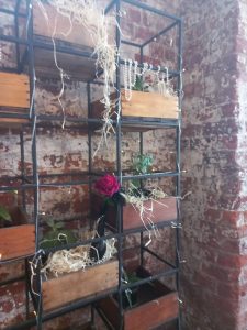 Food D-Vine Catering 4